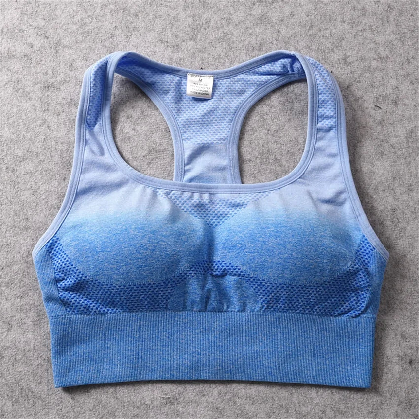 Blue Ombre  Sports Bra